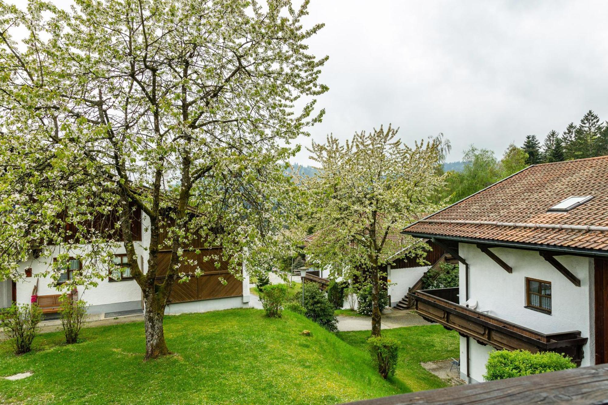 Komfortwohnung Mit Pool Und Sauna Hauzenberg Ngoại thất bức ảnh